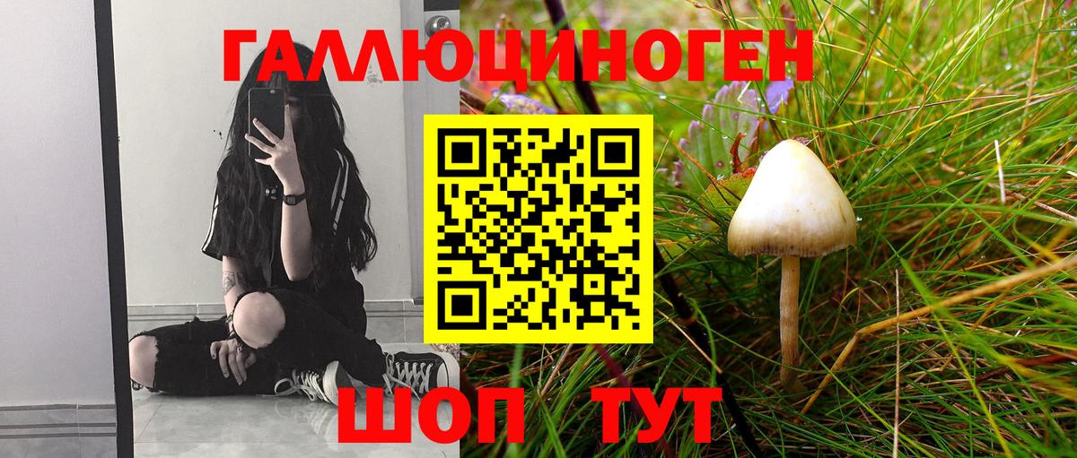 Псилоцибиновые грибы мухоморы Кольчугино